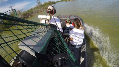 Biologist Michael Lloret, left, is part of a team protecting American crocodiles. AP