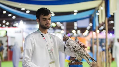 A falcon trainer at the pets a falcon at Adihex. Leslie Pableo for The National