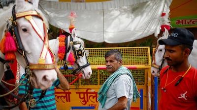 Horses outside Bharatiya Janata Party headquarters in New Delhi on general election results day. Reuters