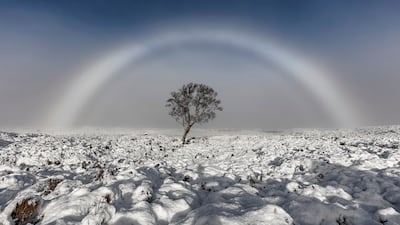 Melvin Nicholson captured this magnificent fogbow in Scotland.