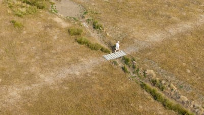 A dried up stream in Richmond Park, south-west London, during a heatwave. AFP