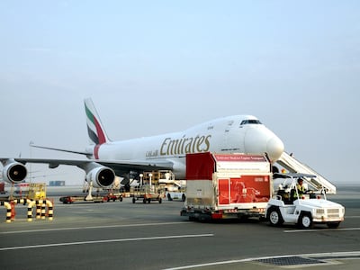 Racehorses arrive at Dubai World Central ahead of the Dubai World Cup. Photo: Emirates