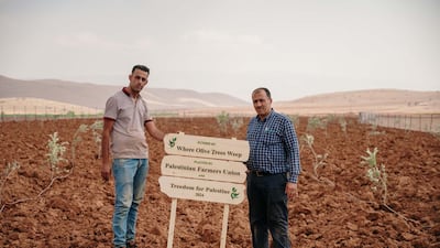 In the past year, 23 farms have been established, with a total so far of 4,000 olive trees.