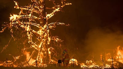 NSW Rural Fire Service crews fight the Gospers Mountain Fire as it impacts a property at Bilpin, in the Blue Mountains, west of Sydney, Australia, 21 December 2019. EPA
