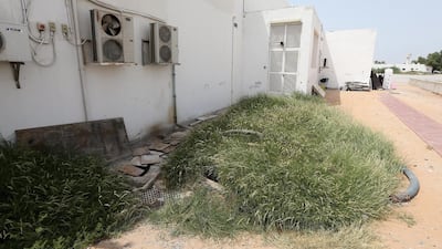 A view of an open sewage area behind the Carrefour supermarket in Umm Al Quwain. Pawan Singh / The National
