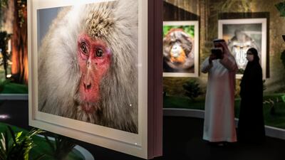 The festival features 55 renowned photographers who will be exhibiting their works and presenting talks and workshops throughout the week.