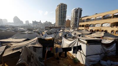 The tower blocks of Gaza city, which once stood proud, are being razed by the Israeli military. Reuters
