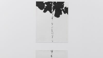 With its careful grouping, which responds to the exhibition space, Natural Sources draws poetic visual alliterations between the disparate works