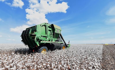 A combine harvests cotton in a field in Brazil. While Brazil is the world's second-largest exporter after the US, it is the world leader in sustainable cotton production. AFP