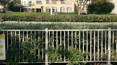 Dubai Municipality is looking into claims that an exotic black cat was spotted roaming around a neighbourhood in the emirate on Tuesday. Shuchita Gautam / The National