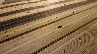 An aerial picture shows farmers harvesting flax in Saint-Philbert-Sur-Risle, northern France. AFP