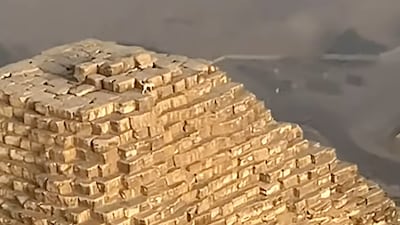 A paraglider spotted a dog on top of Giza's Great Pyramid. Photo: Alex Lang