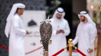 Dozens of falcons went on sale at the Abu Dhabi National Exhibition Centre on Sunday. All Photos: Victor Besa / The National