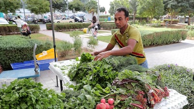 Organic vegetables on display at the bustling Bay Avenue market.