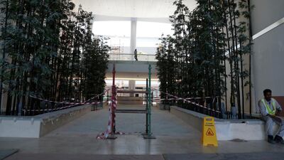 Real trees: There are 57 of them waiting for customers on opening day, augmented by hundreds of plants and shrubs – enough to give the mall a lively feel that no other in the capital has. These trees are a genius addition. Kudos to the gardener. Christopher Pike / The National