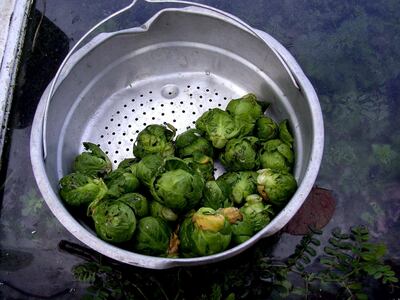 Given that 17.2 million Brussels sprouts go uneaten, don't be afraid to replace wasteful traditions