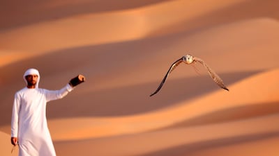 Falcon training in the Liwa desert in the Emirate of Abu Dhabi. AFP