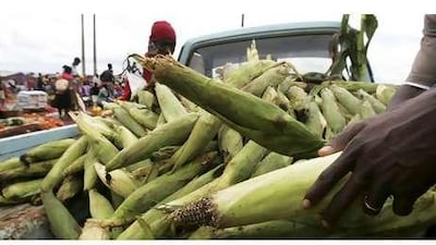 Maize is still on sale in Harare, but Zimbabwe may have to import the crop this year to cover a deficit.