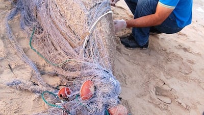 Twenty dugongs were found dead in Abu Dhabi in 2018. Courtesy EAD