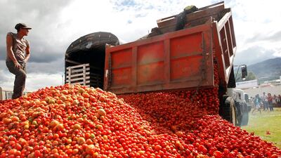 A man waits while they unload a truck of tomatoes before the "Tomatina" (tomato fight) in Sutamarchan province in Boyaca, Colombia. Reuters