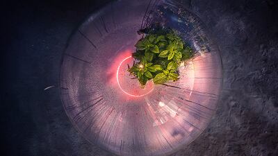 Luca Locatelli, Italy, Shortlist, Professional competition, Portfolio, Sony World Photography Awards.