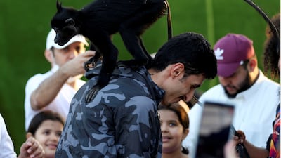 A mangabey monkey horses around with visitors at Riyadh Safari.