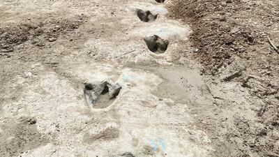 With rain storms expected in the area soon, rangers at Dinosaur Valley State Park believe the tracks may become buried again. AFP