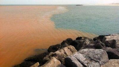 An unidentified brown liquid drifts in the ocean just off the beach next to the Dubai Offshore Sailing Club. Kevin J. Larkin / The National