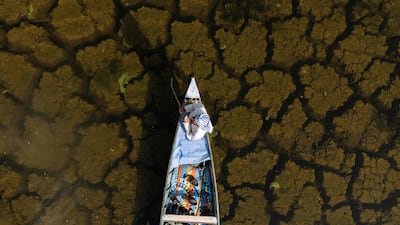 Fishing in the marsh