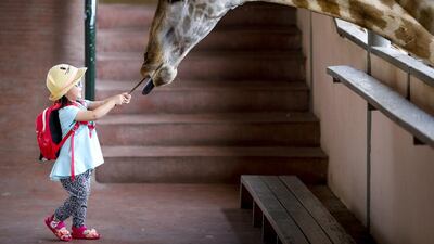 A young girl feeds a banana to a giraffe at a wildlife park in Bangkok, Thailand. Diego Azubel / EPA