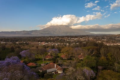 The Legendary is an oasis of calm surrounded by coffee plantations and mature botanical gardens. Courtesy Legendary Lodge