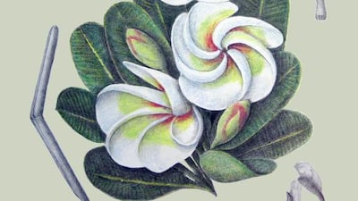 Kathleen Konicek-Moran for The National