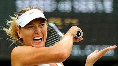 Sharapova is reaching the business end of a successful comeback.