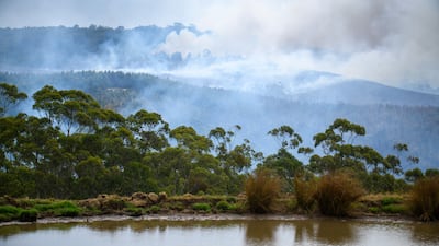 Smoke rises from a wildfire in Gellibrand, south-eastern Australia. EPA
