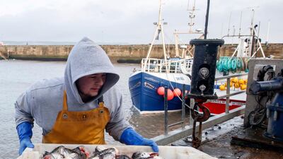 Fishing rights in British waters are a major stickiing point to a free trade deal with the EU. AP