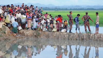Rohingya refugees wait inside rice fields to be let through into Bangladesh. Reuters