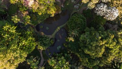 Aerial View of Roberto Burle Marx’s former home in Rio de Janeiro, Brazil, which was elected as a World Heritage Site by Unesco.