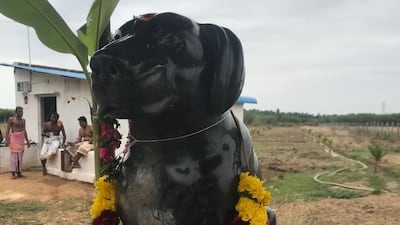 Muthu Kumar, 82, a former government employee from Sivaganga in southern Tamil Nadu state has built a statue of his beloved dog, a brown Labrador, named Tom. Photo: Manoj Kumar