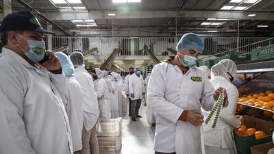 Mafa exports its oranges to 58 countries. Getty Images
