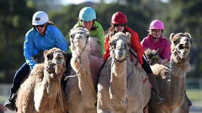 The annual three-day event features one-humped Dromedary camels.