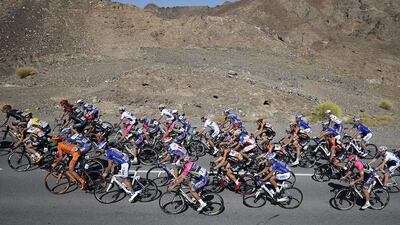 The peloton shown in action during the final stage of the Tour of Oman on Friday. Sebastien Nogier / EPA
