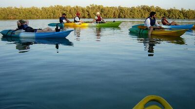 Kayaking in the Mangroves.