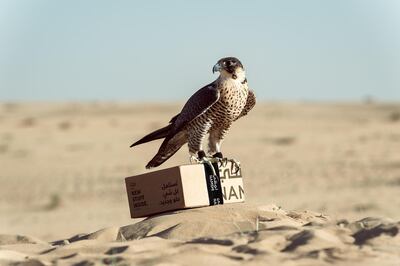 Namshi have already announced that the falcon delivery service is an April Fool's prank. Courtesy Namshi