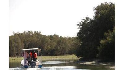 The UAE's mangroves are nature's lungs and need preserving, a reader says. Fatima Al Marzooqi / The National