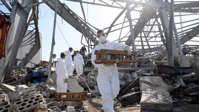 French UN peacekeepers soldiers work and clean up at the port of Beirut, Lebanon. EPA