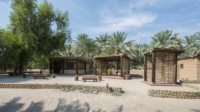 Al Ain Oasis, which was launched last week as a Unesco World Heritage Site. Courtesy Abu Dhabi Tourism and Culture Authority