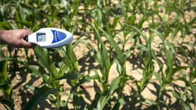 Above, a sensor that uses visible and invisible light to judge crop health is used at the Little Bohemia Creek farm in Warwick, Maryland. Brendan Smialowski / AFP