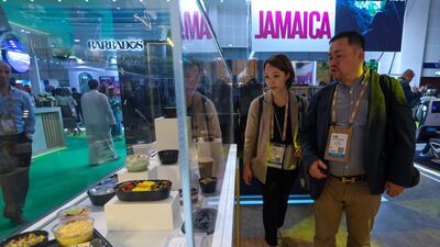 Etihad Airways dishes on display