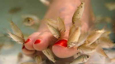 'Fish spas' are coming under increasing scrutiny by health authorities around the world and, in some countries, have even been banned.