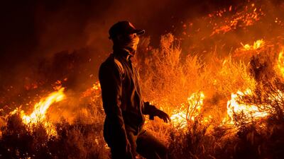 Volunteers and local residents use wet towels to fight one front of a large brush fire that started around the mountains in the city centre on January 27, 2019, in Cape Town. AFP